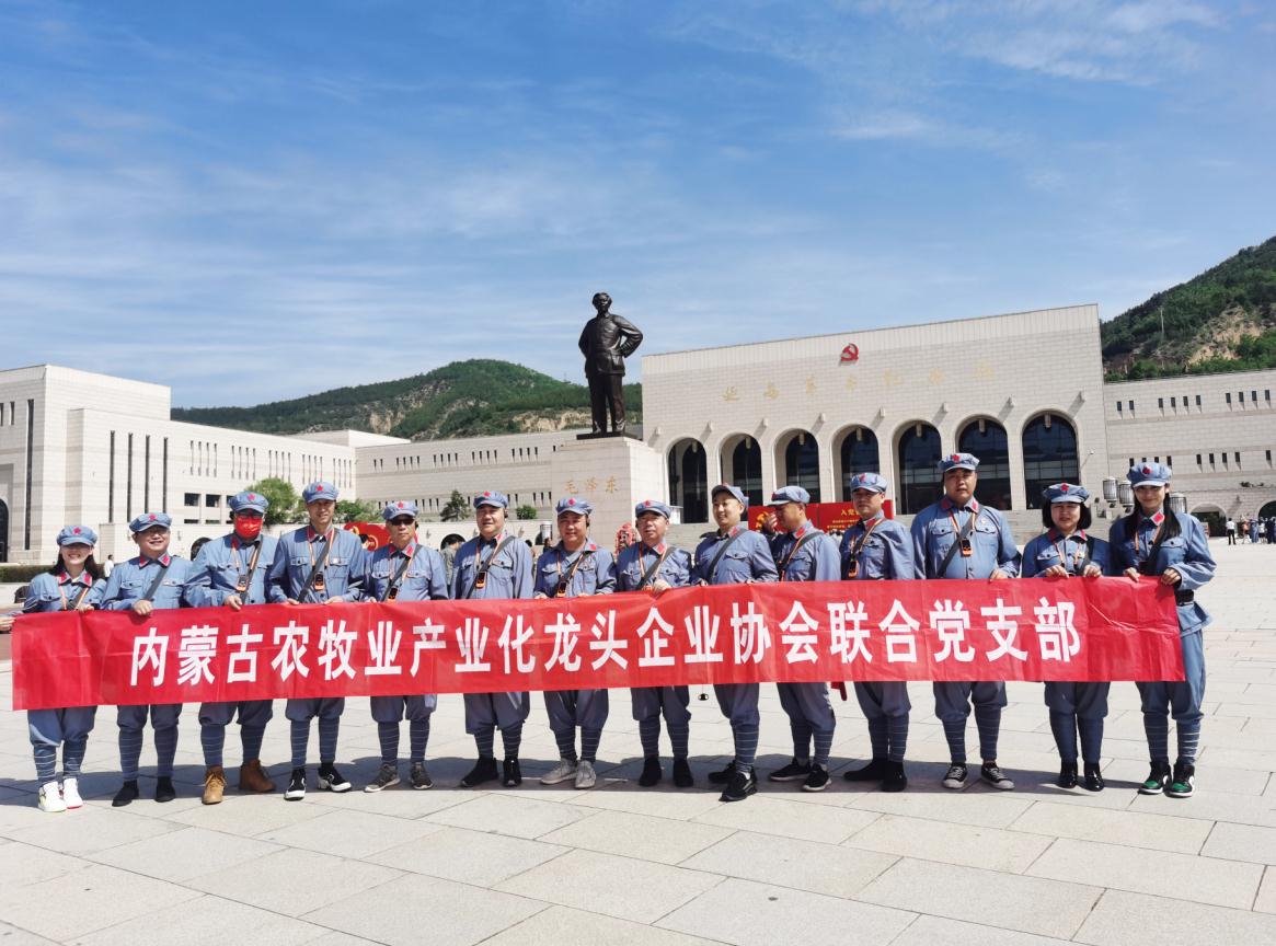 內(nèi)蒙古農(nóng)牧業(yè)產(chǎn)業(yè)化龍頭企業(yè)協(xié)會(huì)聯(lián)合黨支部赴延安革命圣地開(kāi)展“學(xué)黨史、感黨恩、跟黨走”主題黨日活動(dòng)